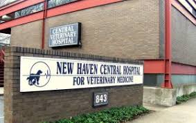You can see how to get to central hospital for veterinary medicine on our website. About Central Hospital Central Hospital For Veterinary Medicine