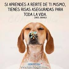 Aprender A Reirse De Uno Mismo Cute Animals Dogs Pets