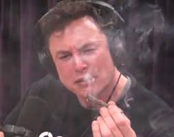 Bradley Miles (@Bradley_Miles_)