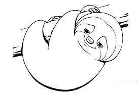 Download and print these sloth coloring pages for free. Sloth Colouring Pages For Kids Novocom Top