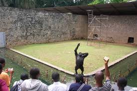 Image result for PICTURES OF UNIVERSITY OF IBADAN