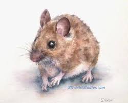 Misha Mouse Watercolor Mouse Painting By Animal Artist Teresa Silvestri Original Sold But Prints Mouse Illustration Mickey Drawing Watercolor Pictures