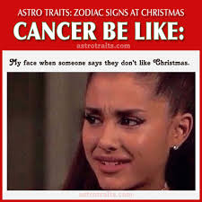 If they get hurt, it won't be long before they retreat into. Funniest Christmas Memes By Zodiac Sign Astro Traits
