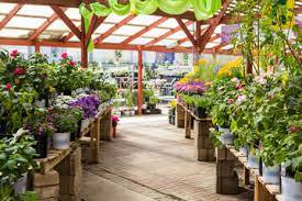 Bestellen sie einfach ihre gartenprodukten online. Gartencenter Seebauer Saat Und Tat Das Gartenportal Fur Die Region Munchen