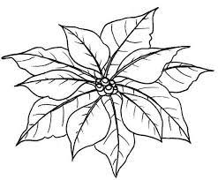 Black And White Flower Leaves Google Trsene Flower Coloring Pages Coloring Pages Christmas Coloring Pages