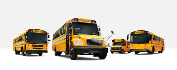 Image result for buses