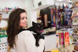 But my major hobby is looking after my pets. 35 Stores Where Your Dog Can Shop With You Healthypets Blog