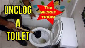 Flush with a pail of water. 11 Excellent Tips To Unclog A Toilet With Poop In It