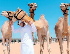 Looking to get up and running with apache camel? Think Like A Camel
