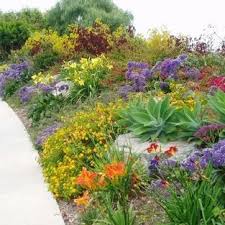 The garden plan for this design includes an illustrated version of the planted garden, a detailed layout diagram, a list of plants for the garden as shown, and complete instructions for installing the garden. Drought Tolerant Garden Design Ideas Whaciendobuenasmigas
