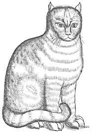 Download or print this amazing coloring page: Https Www Nlm Nih Gov Exhibition Sciencemagicmedicine Pdf Color The Patronus Coloring Book 508 Pdf