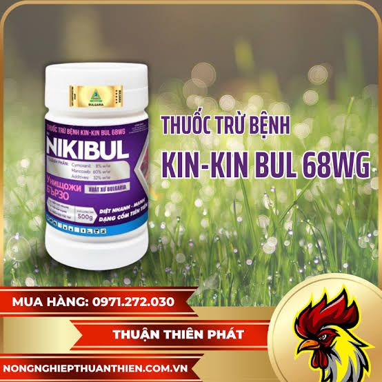 Kin-kin Bul 68WG