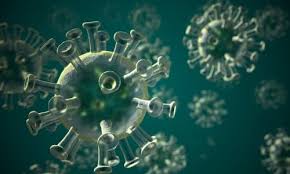 Bbc africa corona minute 25/01/2021 0700 gmt. How The Coronavirus Hijacks Cells