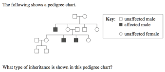 Pedigree Chart Practice Flashcards Quizlet