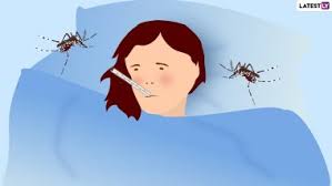 A social media user called ezequiel lobo posted a picture of the giant creature on tuesday, having laid it alongside a mosquito. Mosquito Quotes Latest News Information Updated On August 20 2020 Articles Updates On Mosquito Quotes Photos Videos Latestly
