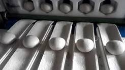 Wuxi super food technology co. Uki Food Technology Sdn Bhd Lee Youtube
