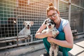 University pet clinic salt lake city | peepsburgh. Where Can I Adopt A Pet In Salt Lake City Broadview University