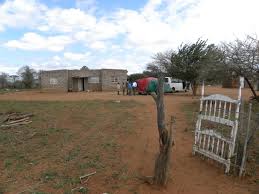 Image result for Hyperacanthus microphyllus