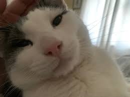 He comes from long away Now he is at home.