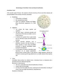 Tetanus infection can lead to serious health problems, including being unable to open the mouth and having trouble swallowing and breathing. Microbiology Of Clostridium Tetani And Wound Classification Bacteria Neuron