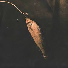 Barry Mayfield (@barry.mayfield) • Threads, Say more