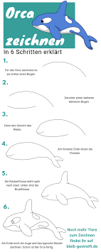 Wale Zeichnen Lernen Zeichne Deinen Eigenen Orca Zeichnen Lernen Zeichnen Wale