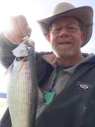 I call this poems and short stories but don't do too many stories  ROCK-TOBER Back in the early 90's I just started my career as an HVAC  technician. I worked for a