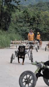 Remembering this beautiful baby . . . Maddie Kathryn 10/9/04