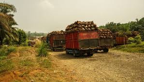 Malaysia has overtaken indonesia to become the biggest crude palm oil exporter to india, with exports surging to 2.42 million tonnes since november. Malaysia Gears Up For Court Action With Eu In Palm Oil Dispute Biofuels International Magazine