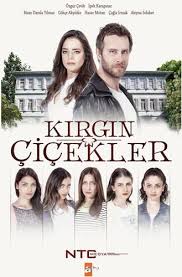 Pin By تركي فلوج Turkey Vlog On الدراما التركية Turkish Drama Turkish Film Turkish Actors Best Series