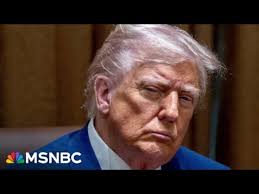 Nana Lu (@nanalus.bsky.social) — Bluesky