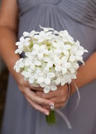 White flowers used in wedding bouquets. Small White Bouquet Flowers Off 76 Buy