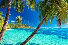 It is the largest of the 118 islands and atolls that comprise french polynesia. 21 077 Tahiti Fotos Kostenlose Und Royalty Free Stock Fotos Von Dreamstime