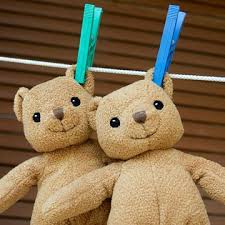 11 Smart Ways To Prevent Allergies Washing Stuffed Animals Clean Stuffed Animals Sewing Stuffed Animals