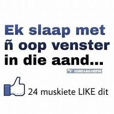 Ek Slaap Met N Oop Venster In Die Aand 24 Muskiete Like Dit Afrikaanse Quotes Afrikaans Afrikaans Quotes