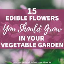 We list below the tastiest flowers. 15 Edible Flowers You Should Grow In Your Vegetable Garden You Should Grow
