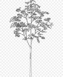 Neither of these is what a real tree. Architecture Tree Drawing Png 571x1000px Architecture Architect Architectural Drawing Art Autocad Architecture Download Free