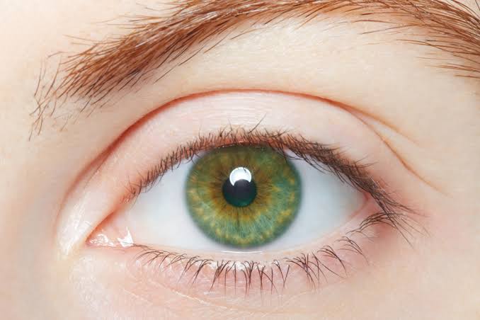 All About Green Eyes - OCLI