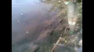 Panen ikan wader dengan cara perangkap pakai botol sederhana, walapun berpanas panasan kita hari ini saya ikut paman saya menangkap ikan sembilang pakai jebakan ikan , menangkap ikan atau menjebak ikan dengan cara. Ragam Teknik Memancing Ikan Belanak Ensiklo Com