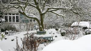 What to do after it snows in your garden — top tips to help plants survive  | Tom's Guide