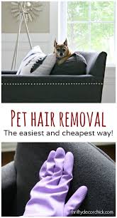 The Best And Easiest Way To Remove Pet Hair With Images Pet Hair Removal Pet Hair Dog Hair