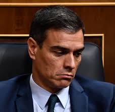 We did not find results for: Pedro Sanchez Welt
