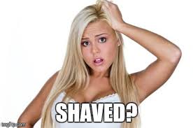 Most photos blond pubic hair have the same qualities as your natural hair, meaning they can be dyed, washed, and even heat styled. Beer Is Like Pubes Imgflip