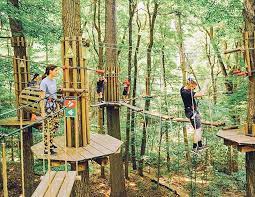 Find A Go Ape Location Near You Indiana Indianapolis Adventure Park Indiana Ziplining