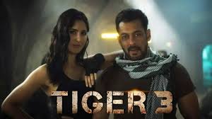 Tiger: Salman Khan, Katrina Kaif announce Tiger 3's release date as they  celebrate 10 years of Ek Tha Tiger - WATCH, Celebrity News | Zoom TV