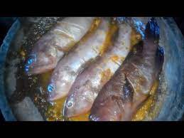 Menurut kawan kawan di kk, ikan ini sangat sedap dengan isi yang lembut. Ikan Kerapu Goreng Dengan Bumbu Sederhana Enak Dan Garing Youtube