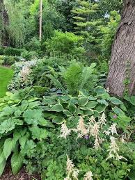 Can i plant my garden now. 21 Years Of Hard Gardening Work Pay Off Finegardening