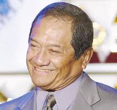 Visitor helps out manatee