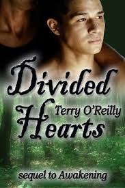 Divided Hearts by Terry O'Reilly