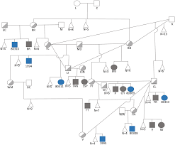 Check spelling or type a new query. A Large Deletion On Cfa28 Omitting Acsl5 Gene Is Associated With Intestinal Lipid Malabsorption In The Australian Kelpie Dog Breed Scientific Reports